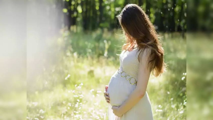 ʲô�ǹ������У�