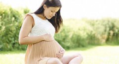 ���������ڹ���-���ݰ���������Ƹ��